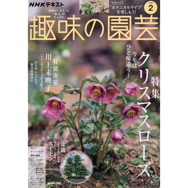 趣味の園芸 (1月号) |本 | 通販 | Amazon
